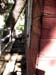 Box Canyon Martinez Mine Trip 075