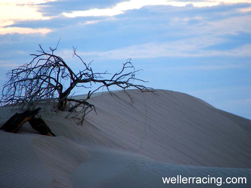 dunes halloween 2006 021