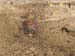 ITP Rnd 2 2006 068