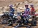 ITP RD 3 2006 264