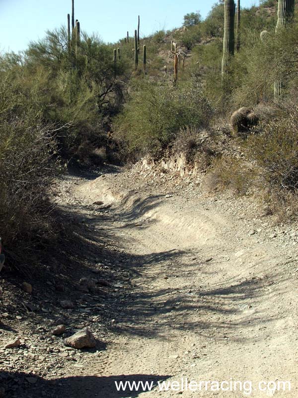 SECRET POLARIS PICTURES 033
